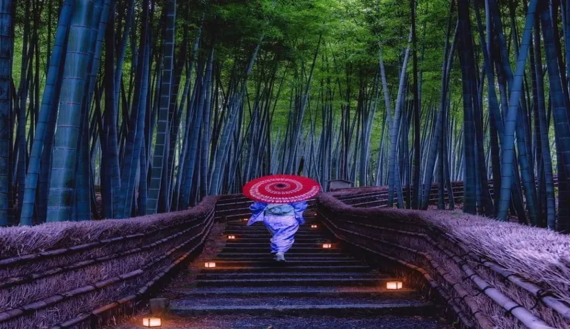 Kyoto - Temples and Nature Experience Tour 1